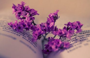 blog-grid-1-410x308